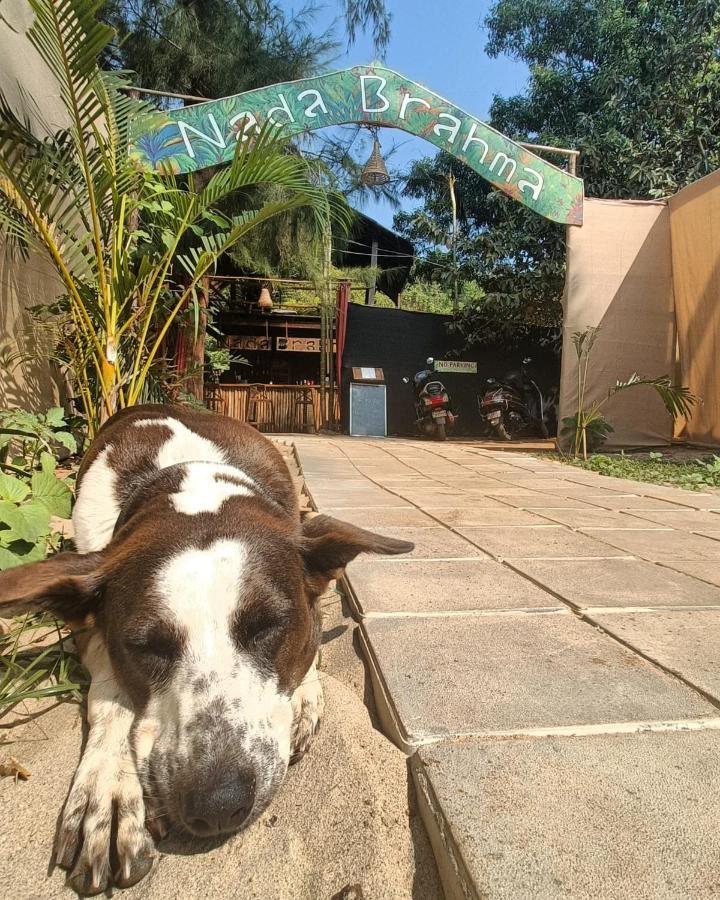 Nada Brahma Patnem Beach Exteriör bild